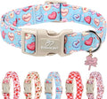 Valentines Dog Collar for Medium Dogs - Valentine Candy Hearts Dog Collars, Love Boy Girl Dogs Collars, Lightweight Adjustable Cute Blue Puppy Collar with Quick-Release Buckle M
