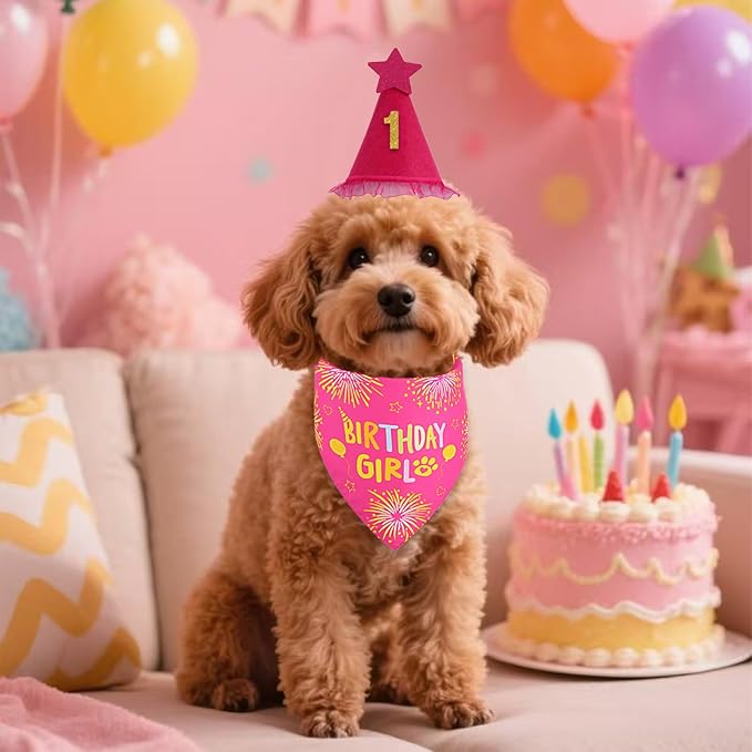 Dog Birthday Party Supplies, Rose Pink Dog Birthday Set with Hat Bandana Numbers for XLarge Large Girl Pets Puppy