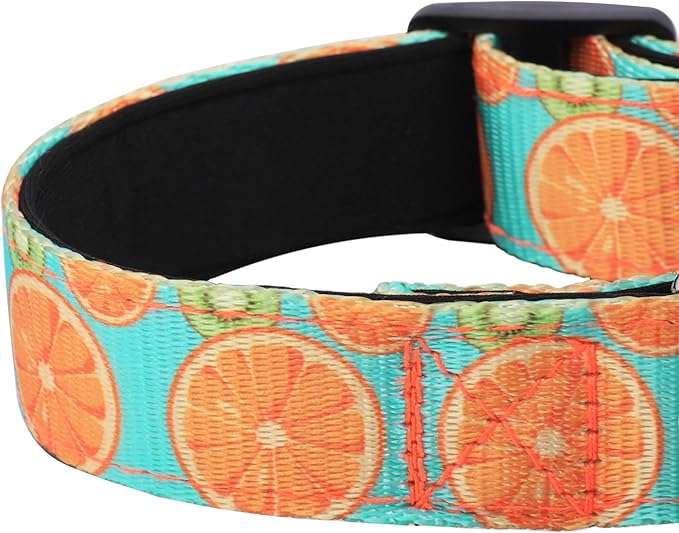 Reflective Dog Collar, Adjustable Soft Neoprene Padded Nylon Pet Collars with Buckle for Puppy and Small Dogs, Cats, Summer Lemon,S