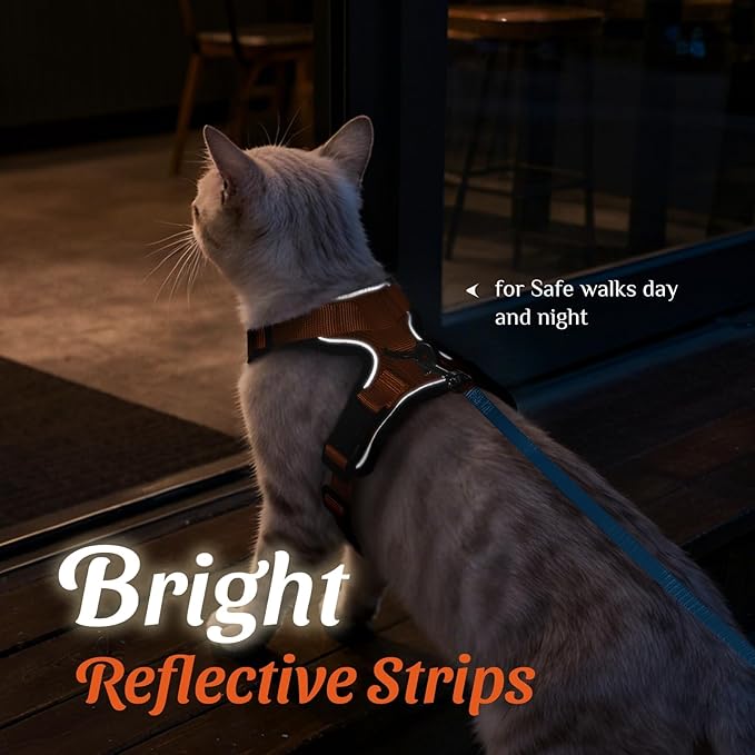 Dooradar Cat Harness and Leash Set, Escape Proof Safe Adjustable Kitten Vest Harnesses for Walking, Easy Control Soft Breathable Mesh Jacket with Reflective Strips for Cats, Orange, S