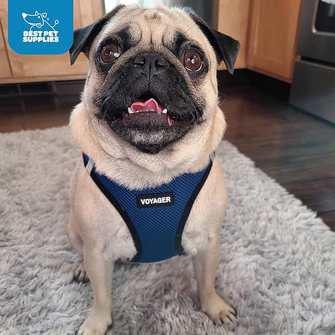 Best Pet Supplies Voyager Step-in Air Harness - All Weather Mesh, Reflective, No Pull Harness for Dogs, Cats - Secure with Hook & Loop Fastener, Buckle, Double D-Rings - Royal Blue/Black Trim, L