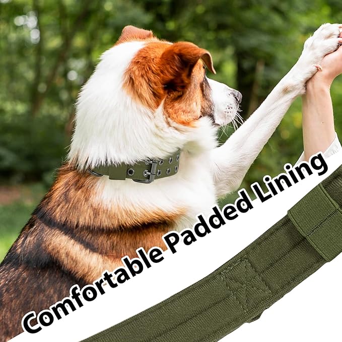 Tactical Dog Collar with Handle, Military Adjustable Heavy Duty Metal Buckle Dog Collars Soft Nylon Training Collar for Medium Large Dogs (Green, X-Large)