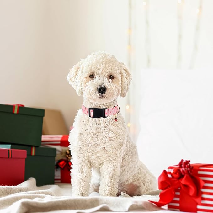 Pink Strawberry Pattern Dog Collar with Buckle Adjustable Safety Nylon Collars for Small Medium Large Dogs, Cute Stylish Girl Boy Christmas Dog Collar(Pink Strawberry,XS)