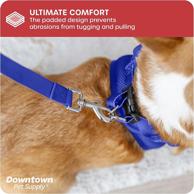 Downtown Pet Supply Step in Dog Harness for Small Dogs No Pull, Large, Blue - Adjustable Harness with Padded Mesh Fabric and Reflective Trim - Buckle Strap Harness for Dogs