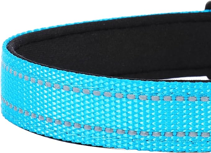 Reflective Dog Collar, Adjustable Soft Neoprene Padded Nylon Pet Collars with Buckle for Large Dogs, Sky Blue,L