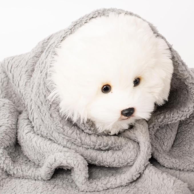 2 Blankets, Dog Cat Pet Blanket, Soft Warm Fleece, for Puppy, Small Dogs or Kitten, Cats, Plush Fuzzy Blanket for Bed, Sofa, Travel (40" x 32", 2/Pack, Beige+Light Gray)