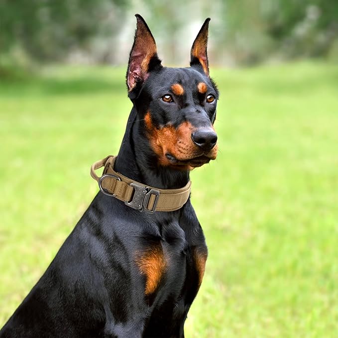 Tactical Dog Collar Set, Adjustable Military Training Nylon Dog Collar with Control Handle and Heavy Quick-Release Metal Buckle for Small Medium Large Dogs, Brown Set M