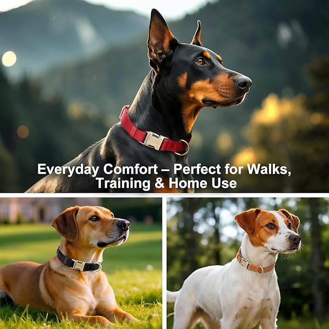 Plutus Pet Genuine Leather Dog Collar – Adjustable Pet Collar with Quick Release Metal Buckle, Soft Real Leather for Small Medium Large Dogs, Heavy Duty & Skin-Friendly (Ash Brown, M)