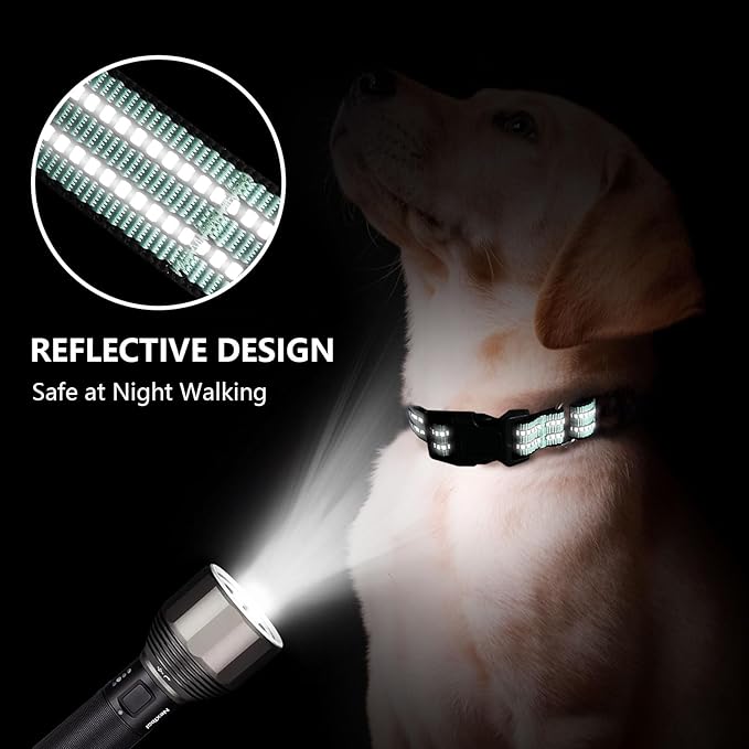 Martingale Dog Collar, Adjustable Nylon Reflective Collar with Quick Release Buckle (Apple Green, Large)