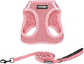 Best Pet Supplies Voyager Step-in Air All Weather Mesh Harness and Reflective Dog 5 ft Leash Combo with Neoprene Handle, for Small, Medium and Large Breed Puppies - Harness Leash Set (Pink), XXS