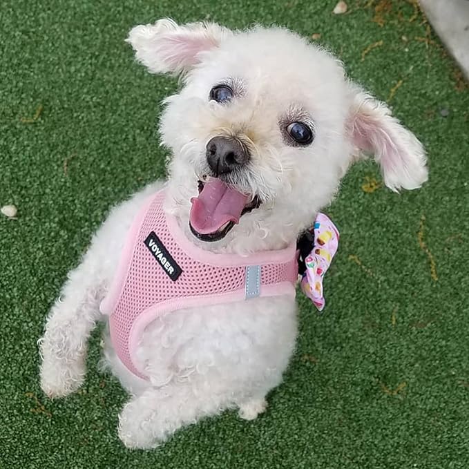 Best Pet Supplies Voyager Step-in Air Harness - All Weather Mesh, Reflective, No Pull Harness for Dogs, Cats - Secure with Hook & Loop Fastener, Buckle, Double D-Rings - Pink, L
