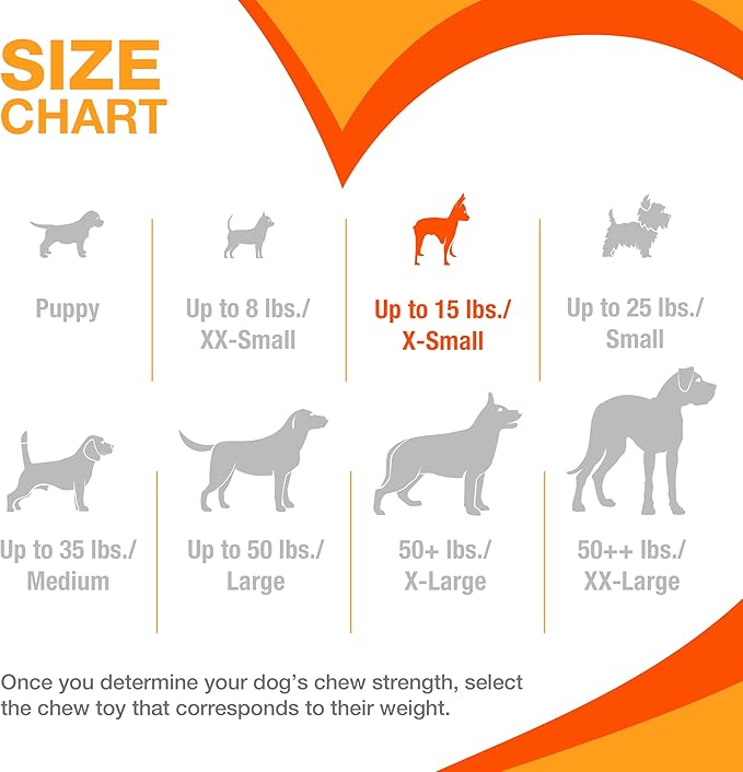 Nylabone Ring Bone Power Chew Toy for Dogs, Durable Dog Toys for Aggressive Chewers, Dog Chew Bone, Long Lasting Flavor Medley Flavor, For X-Small Dogs - Up to 15 lbs, 1 Count