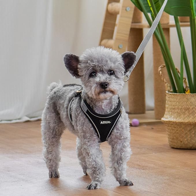 AIITLE Escape Proof Dog Harness - Step in Adjustable Dog Harness No Choke Over with Breathable Mesh and Quick-Release Buckle for All Weather- Outdoor Walking, Training for Medium Dogs Black XL