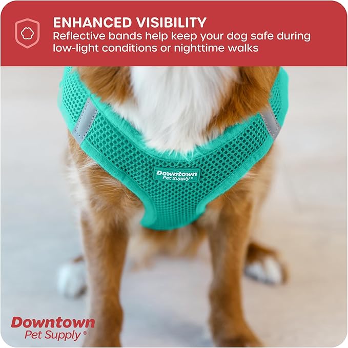 Downtown Pet Supply Step in Dog Harness for Small Dogs No Pull, X-Small, Bermuda Blue - Adjustable Harness with Padded Mesh Fabric and Reflective Trim - Buckle Strap Harness for Dogs