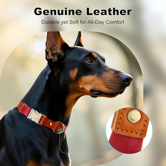 Plutus Pet Genuine Leather & Hemp Dog Collar – Adjustable Heavy Duty Pet Collar with Quick Release Metal Buckle, Soft & Stylish for Puppy and Small, Medium, Large Dogs (Red, S)