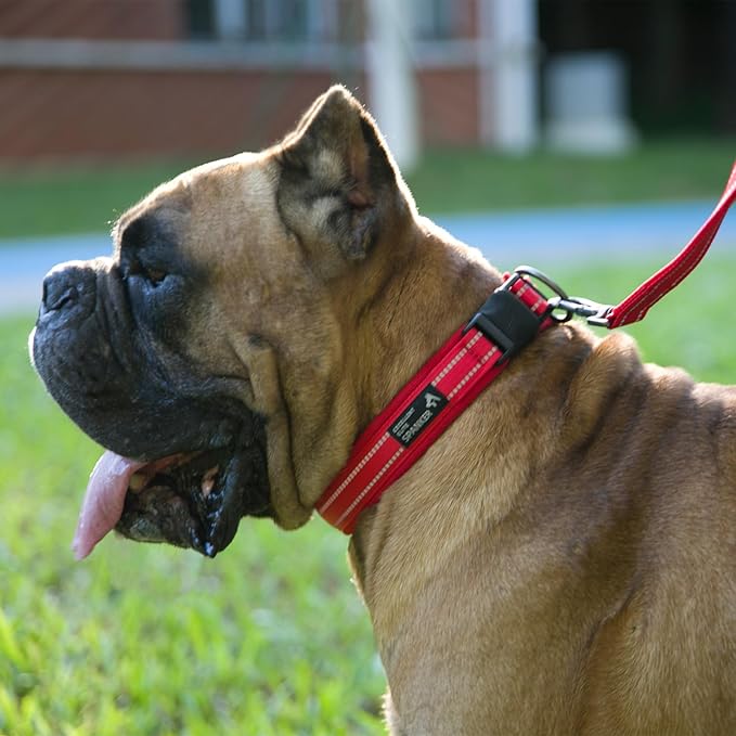 EXCELLENT ELITE SPANKER Reflective Dog Collar Classic Soft Padded Breathable Nylon Adjustable Pet Collar with Quick Release Buckle for Boy Girl Male Female Small Medium Large Dogs Training(Purple-S)