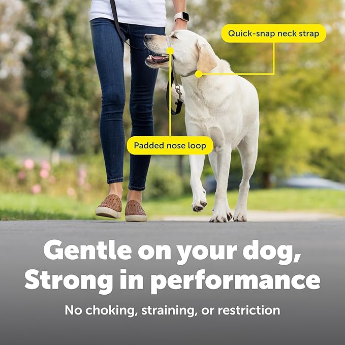 PetSafe Gentle Leader Headcollar No-Pull Dog Collar - Helps Improve Walks - Durable Nylon Construction - Padded Nose Loop - Adjustable Fit - Comfort Walking Halter - Medium, Black