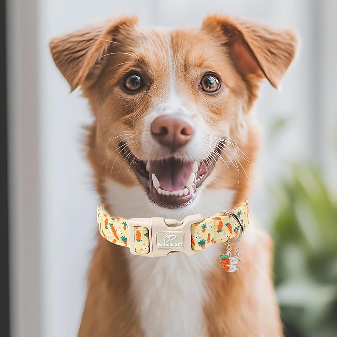 Easter Dog Collar for Puppy Small Dogs - Cute Carrot Bunny Easter Collars for Boy Girl Dogs, Lightweight Adjustable Yellow Cartoon Holiday Dog Collar XS