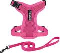 Voyager Escape-Proof Step-in Lock Cat Harness & 5ft Neoprene-Handle Leash Set All-Weather Mesh with Reflective Stitching for Small to Large Cats by Best Pet Supplies, Fuchsia, XXS
