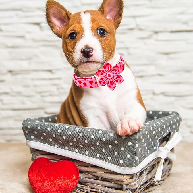 Lionheart glory Valentine's Day Dog Collar with Flower Dog Collar for Medium Dogs, Soft Adjustable Hearts Dogs Collars Spring Pet Collars Flower Puppy