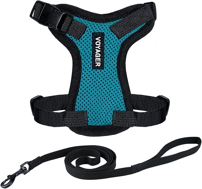 Voyager Escape-Proof Step-in Lock Cat Harness & 5ft Neoprene-Handle Leash Set All-Weather Mesh with Reflective Stitching for Small to Large Cats by Best Pet Supplies, Turquoise/Black Trim, XXXS