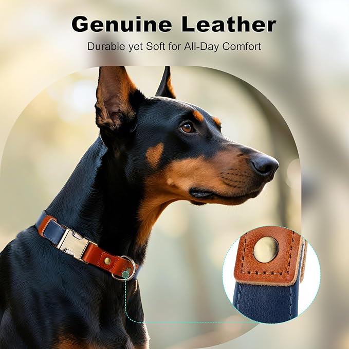 Plutus Pet Genuine Leather & Hemp Dog Collar – Adjustable Heavy Duty Pet Collar with Quick Release Metal Buckle, Soft & Stylish for Puppy and Small, Medium, Large Dogs (Royal Blue, L)