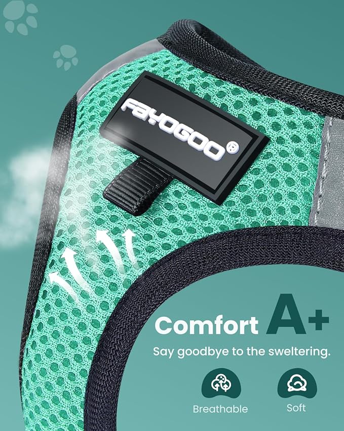 FAYOGOO Cat Harness & Leash Set, Escape Proof, XXL(Chest 19-21''), Green