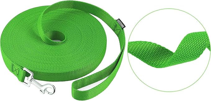 AMAGOOD Dog/Puppy Obedience Recall Training Agility Lead-15 ft 20 ft 30 ft 50 ft Long Leash-for Dog Training,Tie Out,Play,Safety,Camping (20Feet x 1Inch, Green)