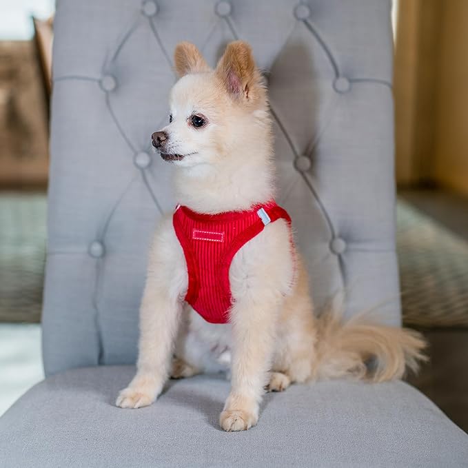 Best Pet Supplies - All Weather Plush, Reflective, No Pull Harness for Small, Medium Dogs, Cats - Secure with Hook & Loop Fastener, Buckle, Double D-Rings - Red Corduroy, L