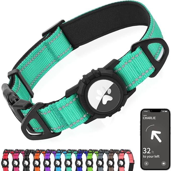 Joytale Airtag Dog Collar, Reflective Pet Collar with Waterproof AirTag Holder, Dual D-Rings, Soft Padded Adjustable for Small Dogs, Teal, S