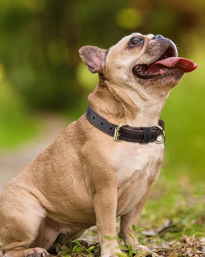 Joytale Leather Dog Collar for Small Dogs, Genuine Solid Sturdy Leather for Active Small Breeds, Adjustable Metal Pin Buckle, Durable and Secure Pet Collar for Daily Use, Brown, S