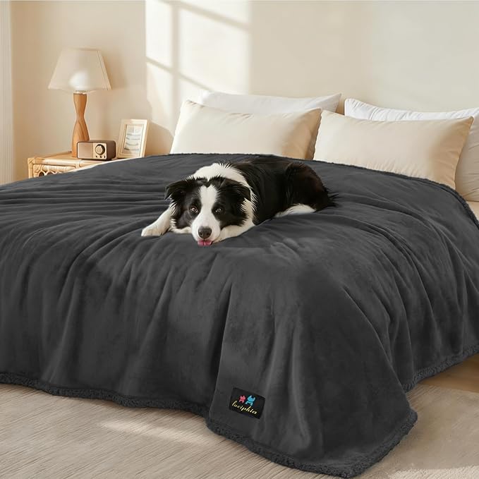 Luciphia Waterproof Pet Blanket, Liquid Pee Proof Dog Blanket for Sofa Bed Couch, Reversible Sherpa Fleece Furniture Protector Cover for Small Medium Large Dogs Cats, Black Queen Size（90" x 82"）