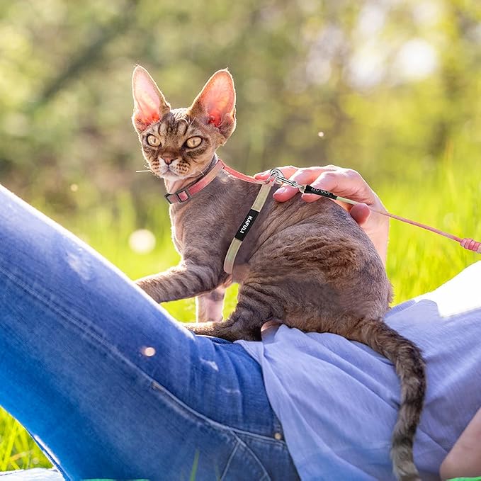 TIESOME Cat Harness and Leash Set, Adjustable Gradient Kitten Harness Escape Proof Harness with Leash for Kitty Outdoor Walking (Orange)