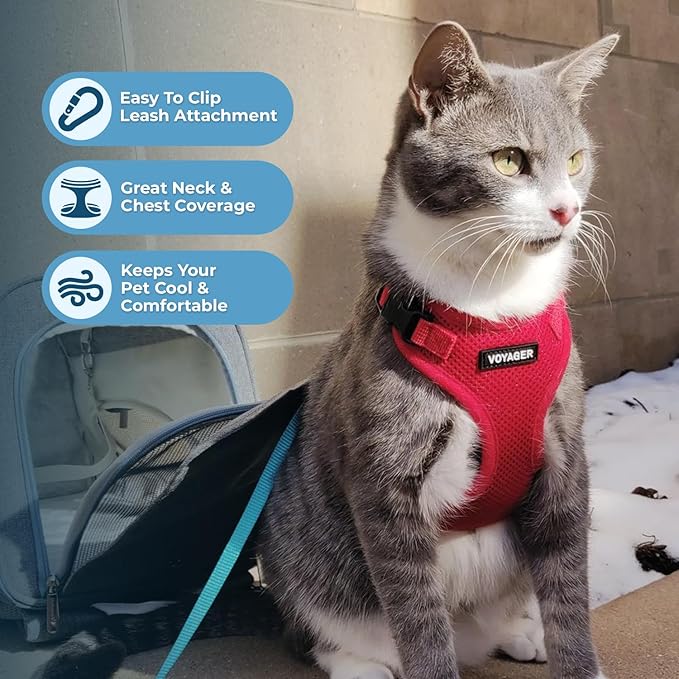 Voyager Escape-Proof Step-in Lock Cat Harness & 5ft Neoprene-Handle Leash Set All-Weather Mesh with Reflective Stitching for Small to Large Cats by Best Pet Supplies, Red, XXS