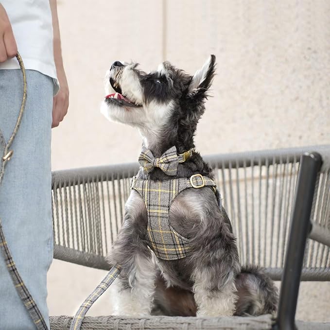 Beirui Cute Small Dog Harness Collar and Leash Set with Bowtie, Soft Adjustable Plaid Puppy Harness for Small Sized Dogs Cats Walks Parties and Photoshoots(Gray,S:Chest 17-23")
