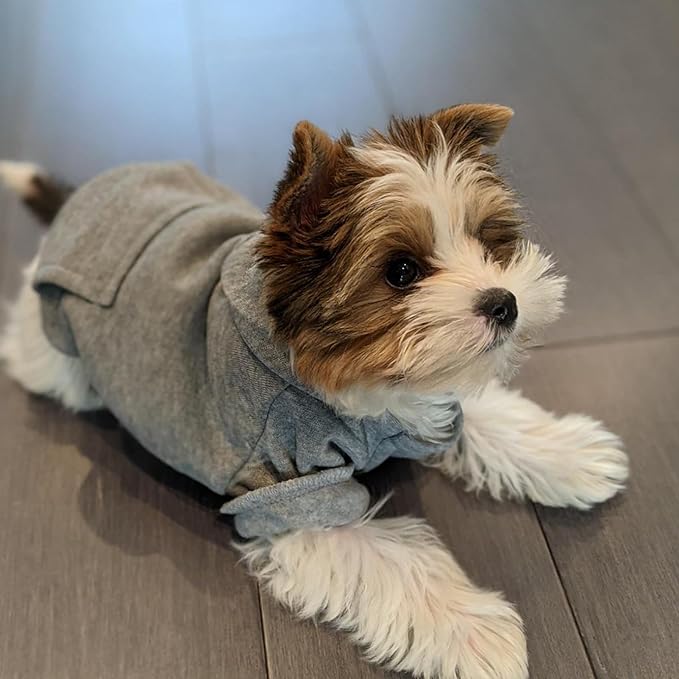 Jecikelon Winter Dog Hoodie Sweatshirts with Pockets Warm Dog Clothes for Small Dogs Chihuahua Coat Clothing Puppy Cat Custume (Grey, X-Small)