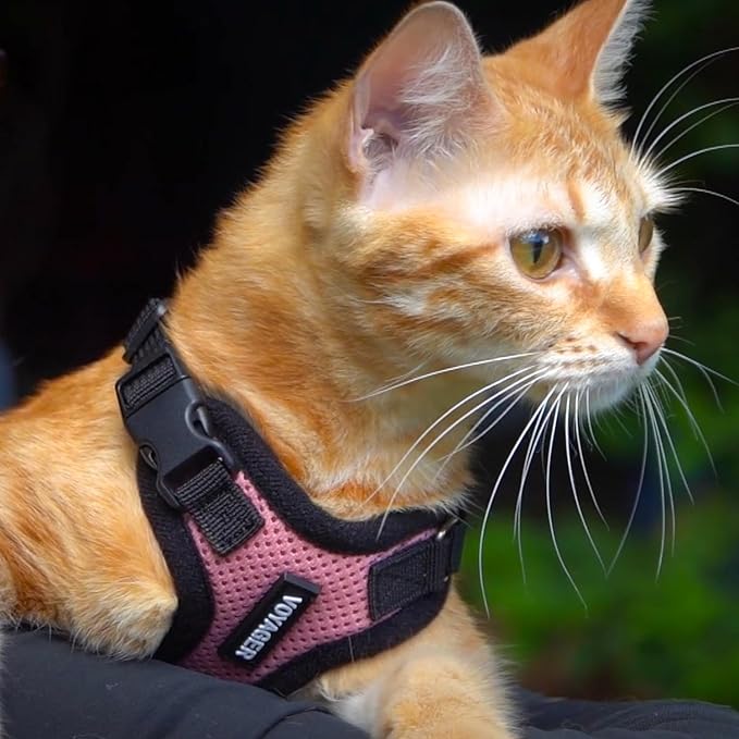 Voyager Escape-Proof Step-in Lock Cat Harness & 5ft Neoprene-Handle Leash Set All-Weather Mesh with Reflective Stitching for Small to Large Cats by Best Pet Supplies, Pink/Black Trim, XXS