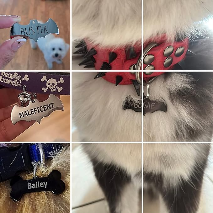 316 Surgical Grade Stainless Steel Personalized Dog & Cat ID Tags - Engraved Name or Text for Pet Collar Accessories, Original Funny Shapes (Heart)