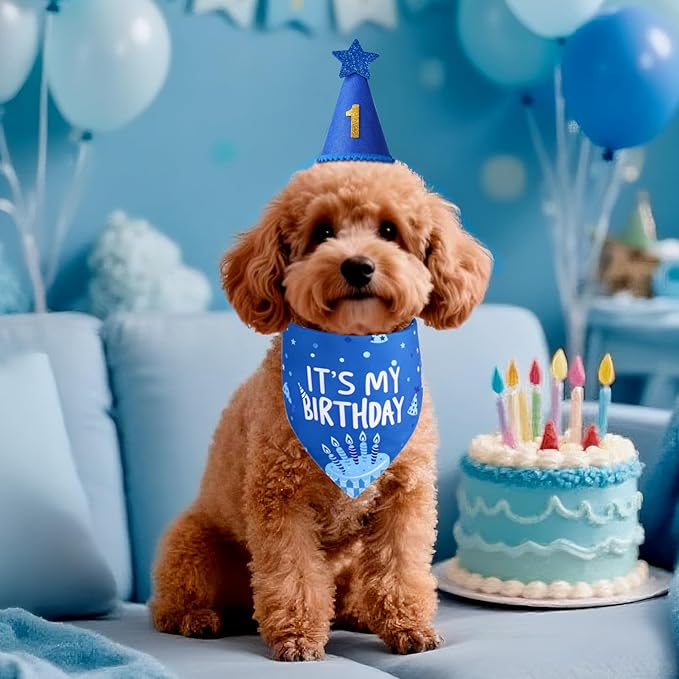 Dog Birthday Party Supplies, Blue Dog Birthday Set with Hat Bandana Numbers for Large Medium Boy Pets Puppy