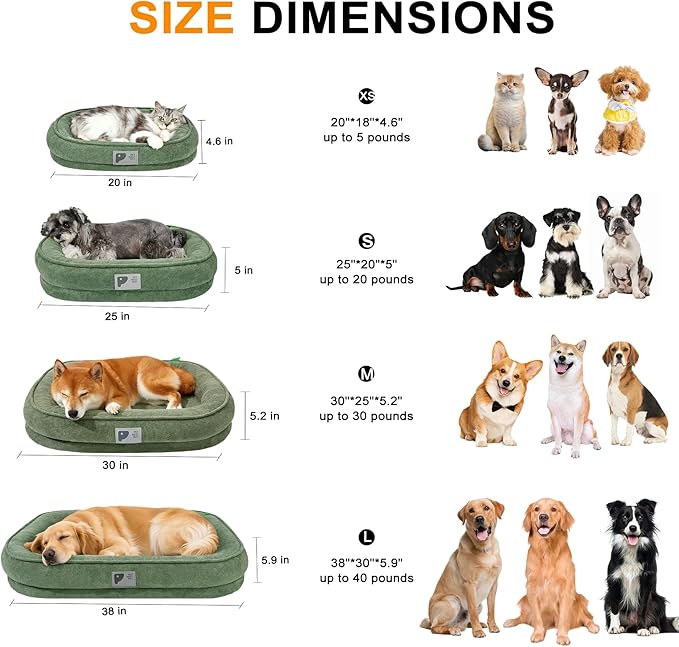 Orthopedic Dog Bed for Medium Dog, Washable with Removable Cover&Non-Slip Bottom with Four-Sided Bolster Cushions,Fluffy Bed Medium Size Green M
