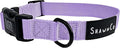 ShawnCo Dream Walk Dog Collar- Premium, Adjustable and Comfortable Pet Collar for Small, Medium, Large and Extra Large Dogs (XL, ICY Lilac)