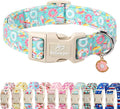 Adjustable Summer Dog Collar, Cute Mint Dessert Dog Collars for Puppy Small Dogs, Lightweight Quick-Release Buckle Collar for Boy&Girl Dogs XS