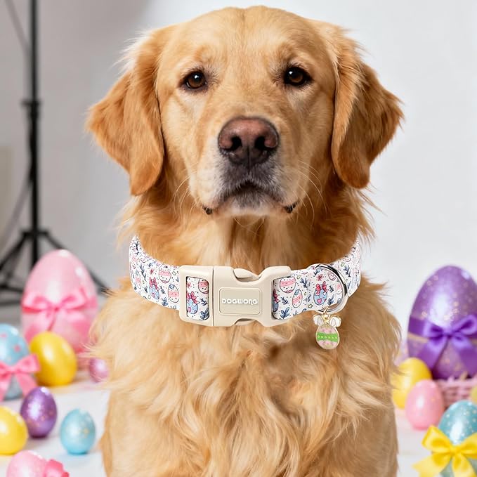 DOGWONG Cute Easter Egg Dog Collar, Adjustable Soft Egg Pet Collar for Small Medium Large Dogs,M Visit The Elegant Little Tail Store