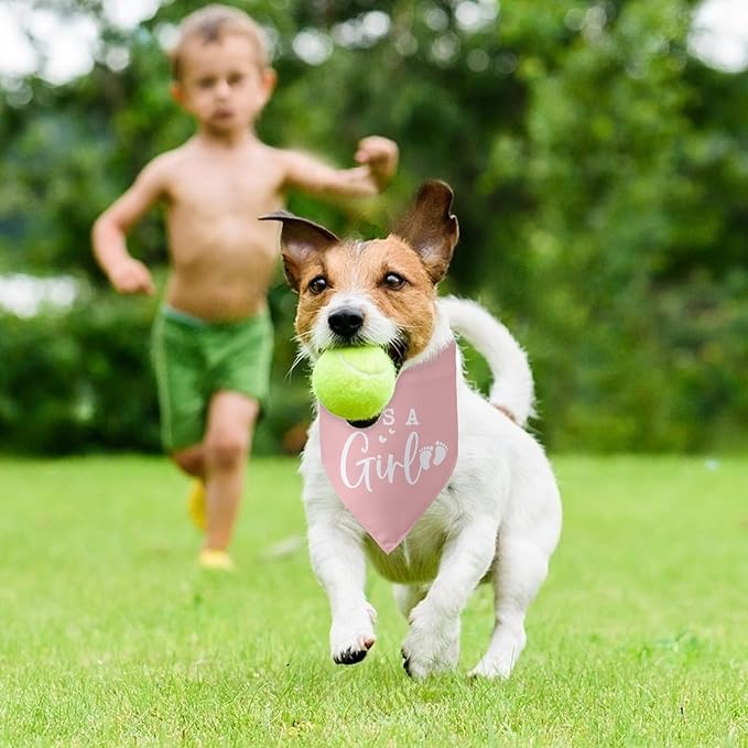 Its a Girl Pink Dog Bandana Baby Announcement Pregnancy Announcement Photo Props Girl Dog Accessories for Large Medium Small Dogs