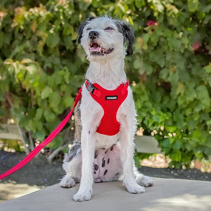 Voyager Step-in Pet Harness - All Weather Mesh, Adjustable Step in Harness for Cats and Dogs by Best Pet Supplies - Red, S