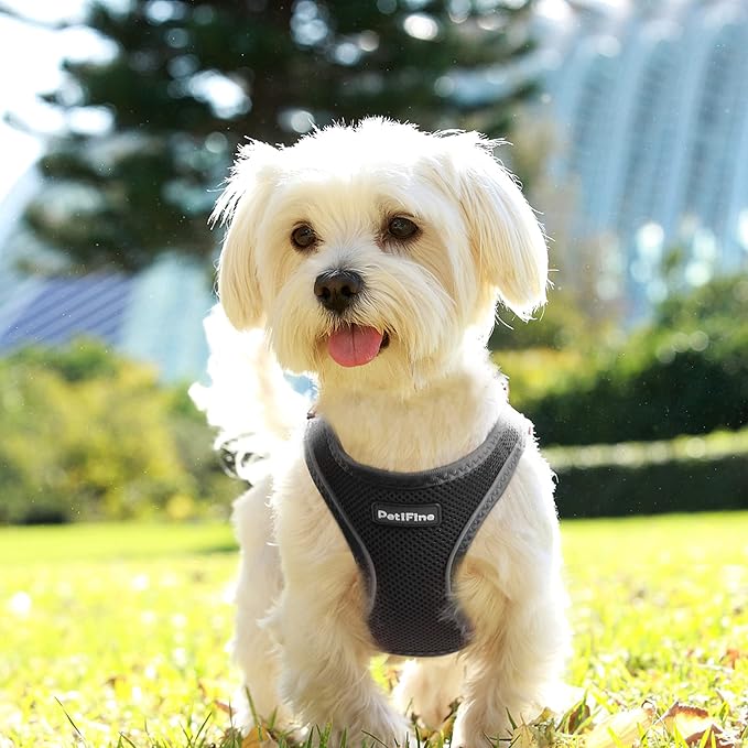 PetiFine Step in Small Dog Harness and Leash Set, Breathable All Weather Air Mesh Reflective Escape Proof, Step-in Vest Harnesses for Puppy(S, Black)