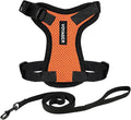 Voyager Escape-Proof Step-in Lock Cat Harness & 5ft Neoprene-Handle Leash Set All-Weather Mesh with Reflective Stitching for Small to Large Cats by Best Pet Supplies, Orange/Black Trim, XXXS