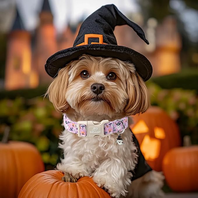 Halloween Dog Collar Cute Wizard Ghost Puppy Collar - Light Comfortable Adjustable Pet Collars for Small Medium Large Girl Boy Dogs S