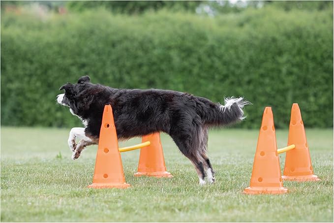 TRIXIE Dog Agility Hurdle Cone Set – Dog Agility Set with Height Adjustable Crossbar for Beginners & Advanced, Dog Agility Equipment for Dog Obstacle Courses – 6 x Cones, 3 x Agility Rods