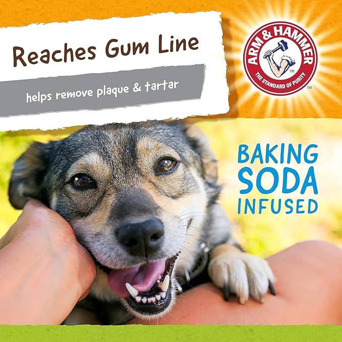 Arm & Hammer for Pets Nubbies Duality Bone Dental Dog Toy - Best Dog Chew Toy for Moderate Chewers - Helps Reduce Plaque & Tartar- Green Apple Flavor, Baking Soda Enhanced - 2 Pack